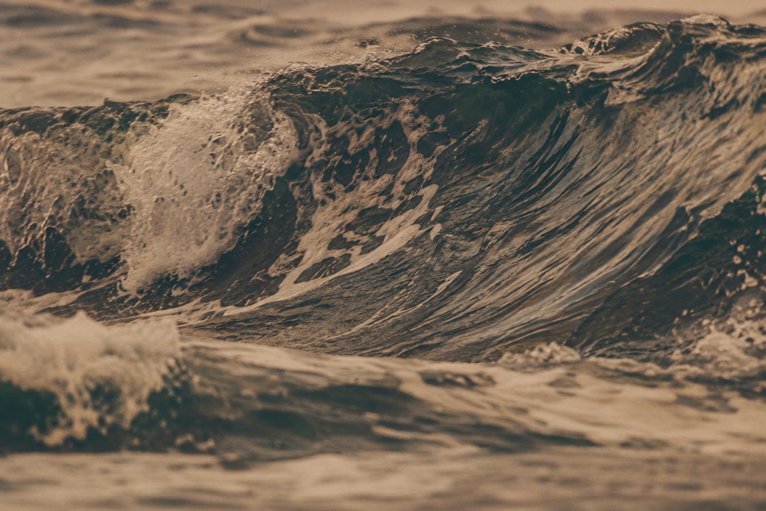 Why the Sea — the Quinton Discovery